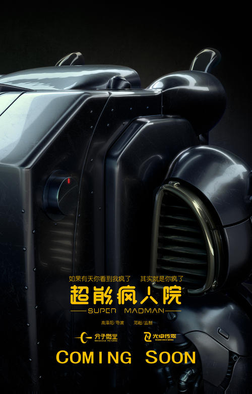制作以色列驾照